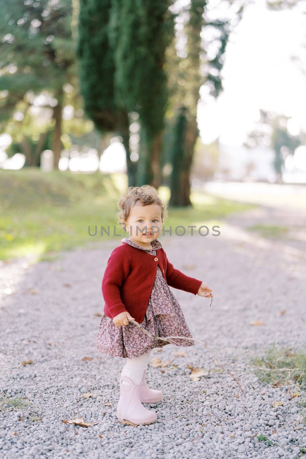 Little girl with a stick in her hand stands on a gravel path in the autumn forest by Nadtochiy