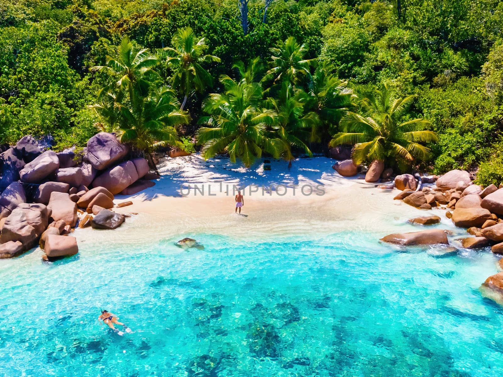 Praslin Seychelles tropical island with white beaches and palm trees, young men in swimwear at the beach on vacation at Seychelles visiting the tropical beach of Anse Lazio