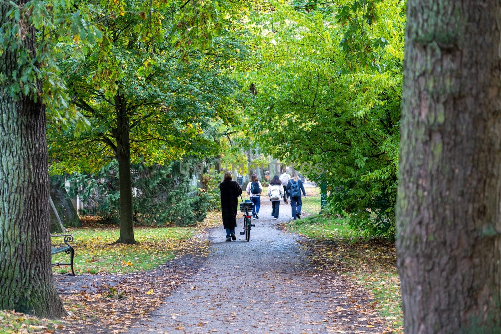 Copenhagen, Denmark - October 24, 2022: People on popular Assistens Cemetery during autumn.