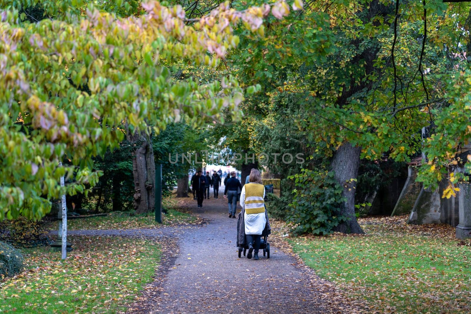 Autumn on Assistens Cemetery in Copenhagen by oliverfoerstner