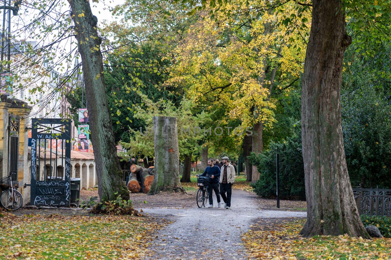 Autumn on Assistens Cemetery in Copenhagen by oliverfoerstner