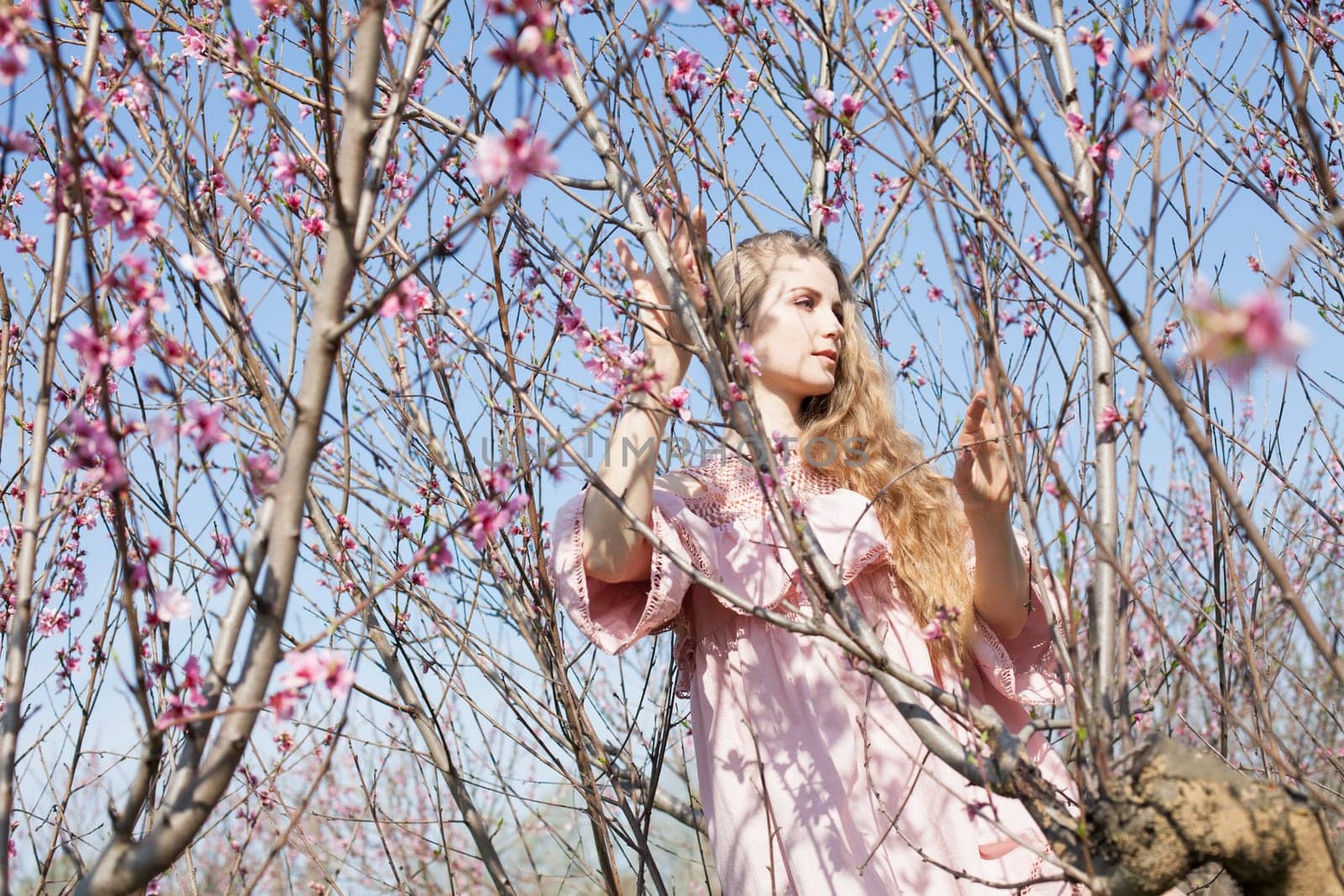 blonde woman in pink dress walks on blooming peaches