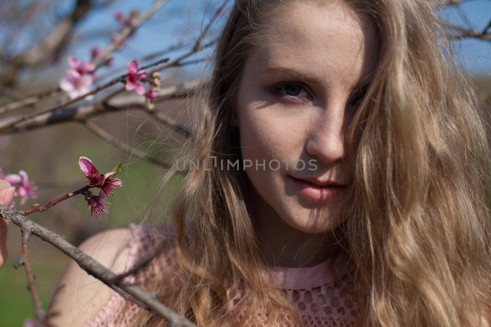 Beautiful blonde woman in pink dress walks on blooming peaches by Simakov