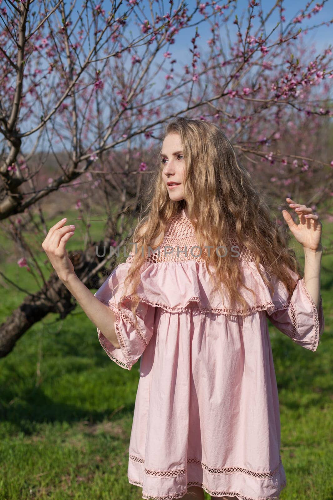 A woman blonde in a pink dress walks through the flowering peach garden