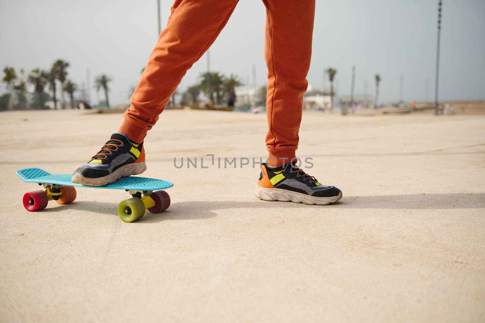 Standing on skateboard on one leg. Cropped view of a teenager boy girl legs in sportswear and stylish sneakers, standing on skateboard on one leg. Kids entertainment. Sport. Leisure activity. Close up