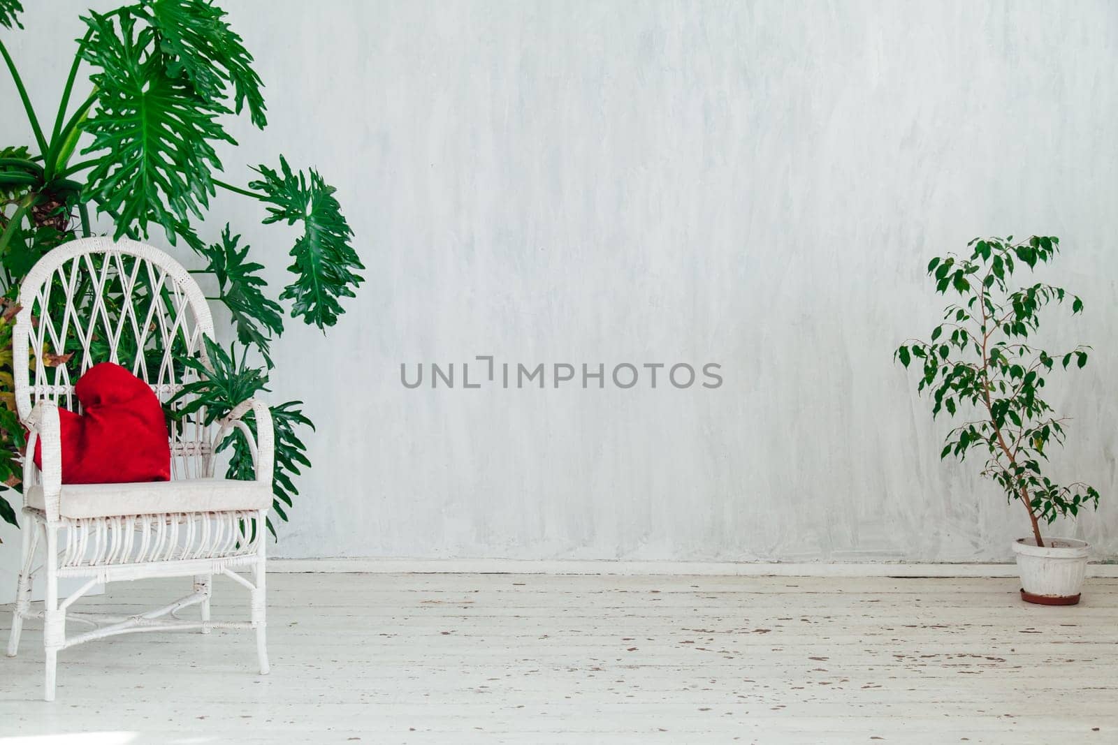 sofa with plants in the interior of the gray room of the house