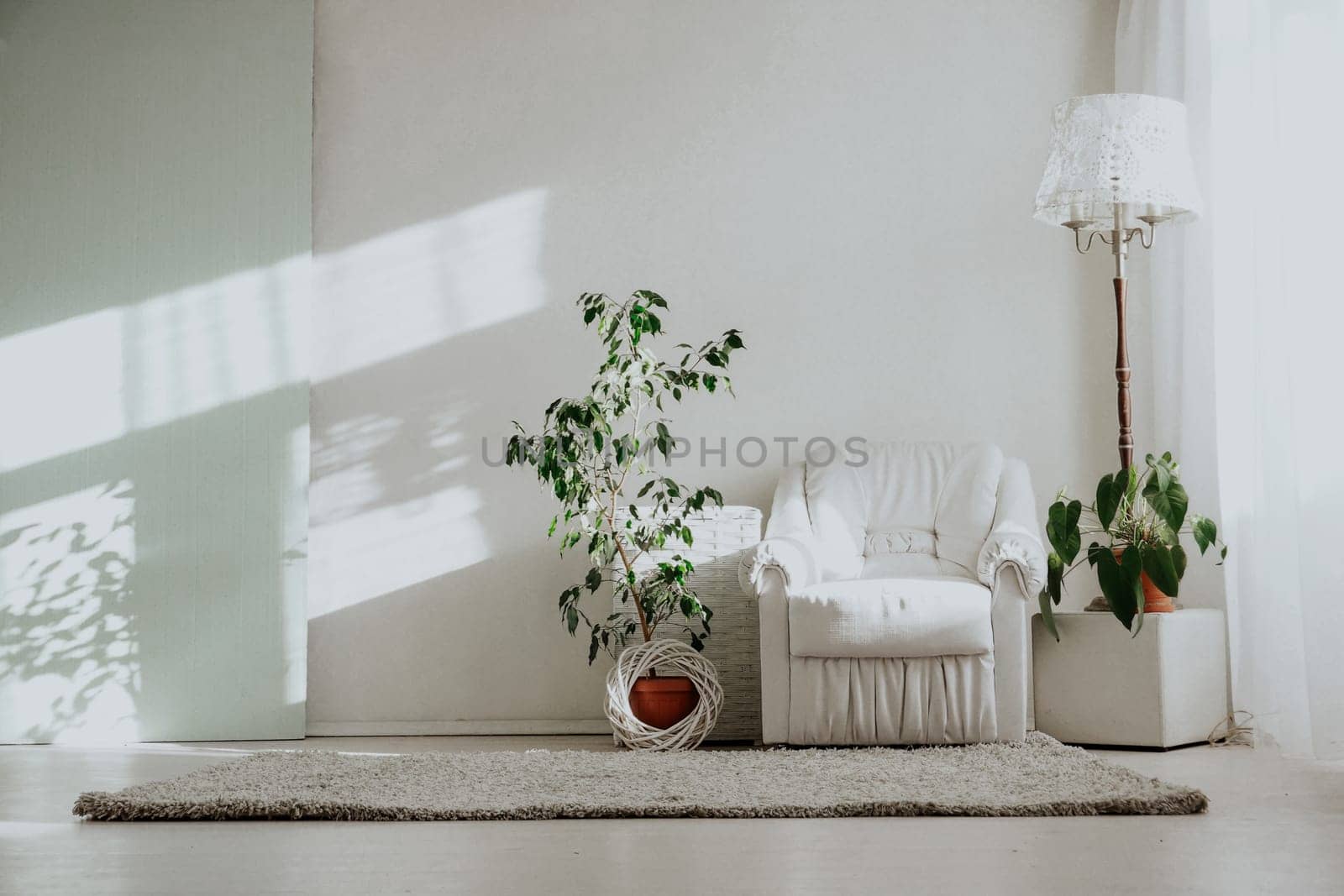 Bright room with white armchair TThis and home plants 1