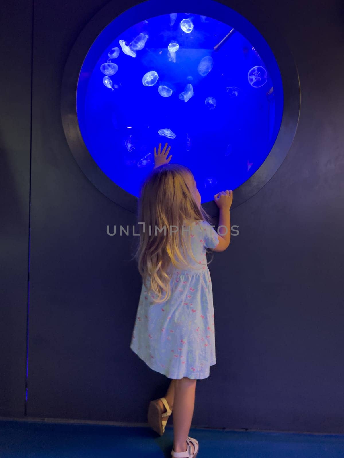 Little girl looks into the round porthole of the oceanarium. Back view by Nadtochiy