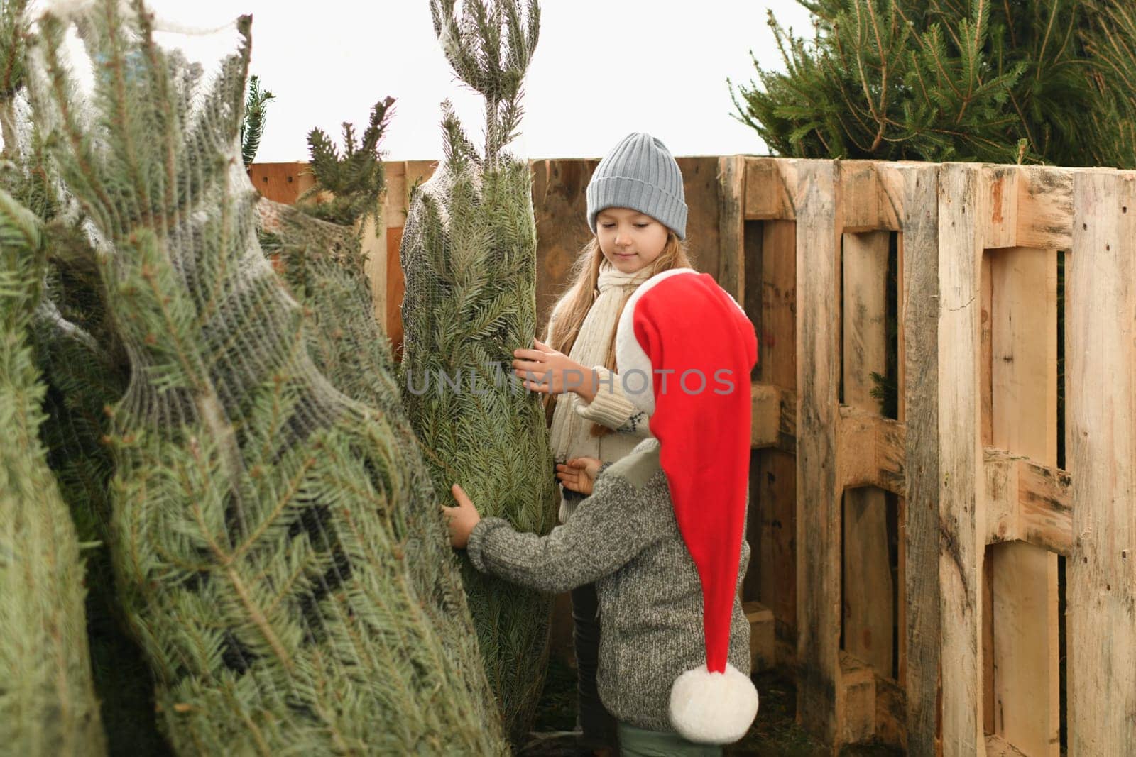 The kids choose a christmas tree for sale at a shop by Godi