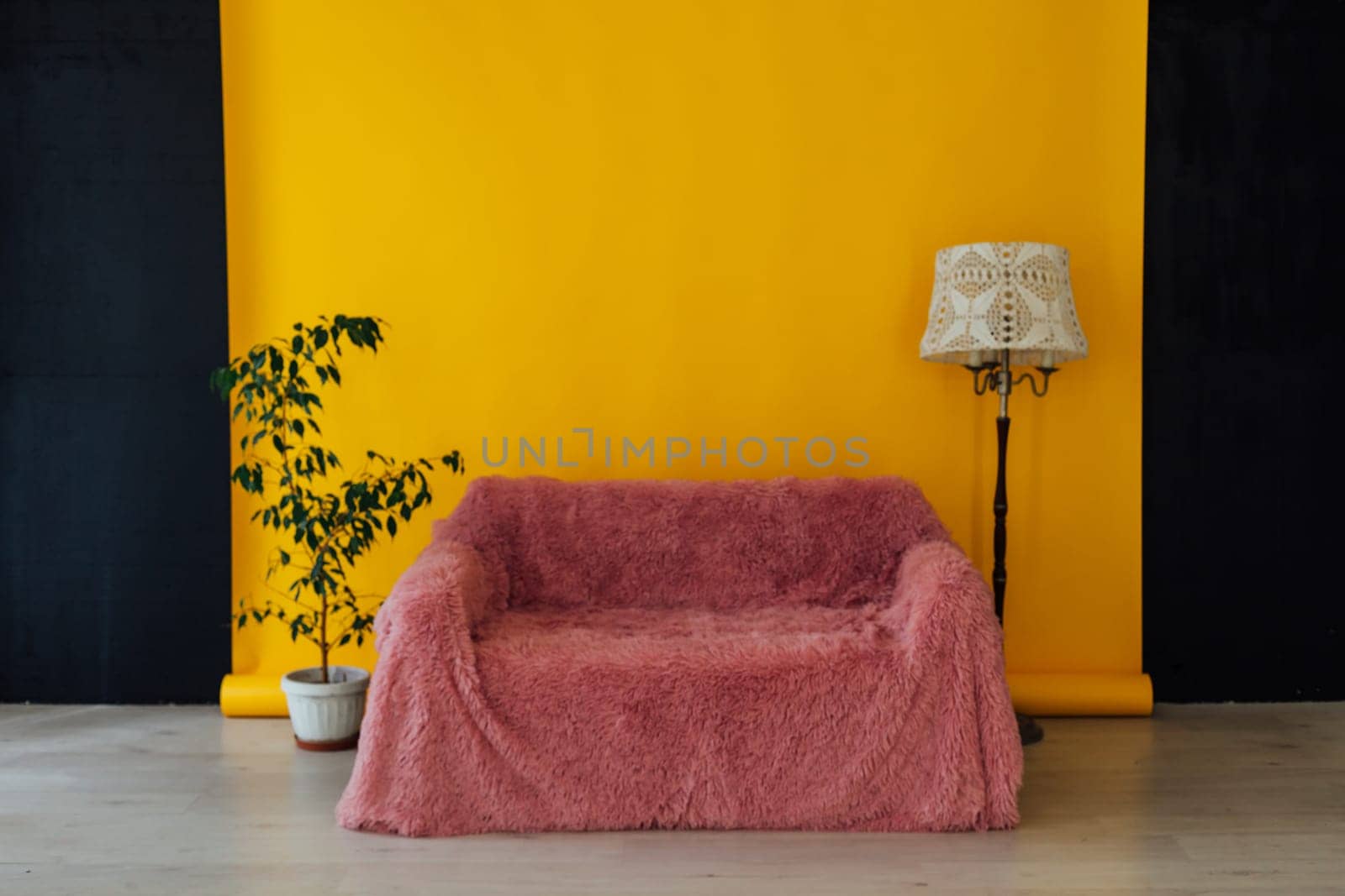pink sofa with a plant in the interior of the room with a yellow background