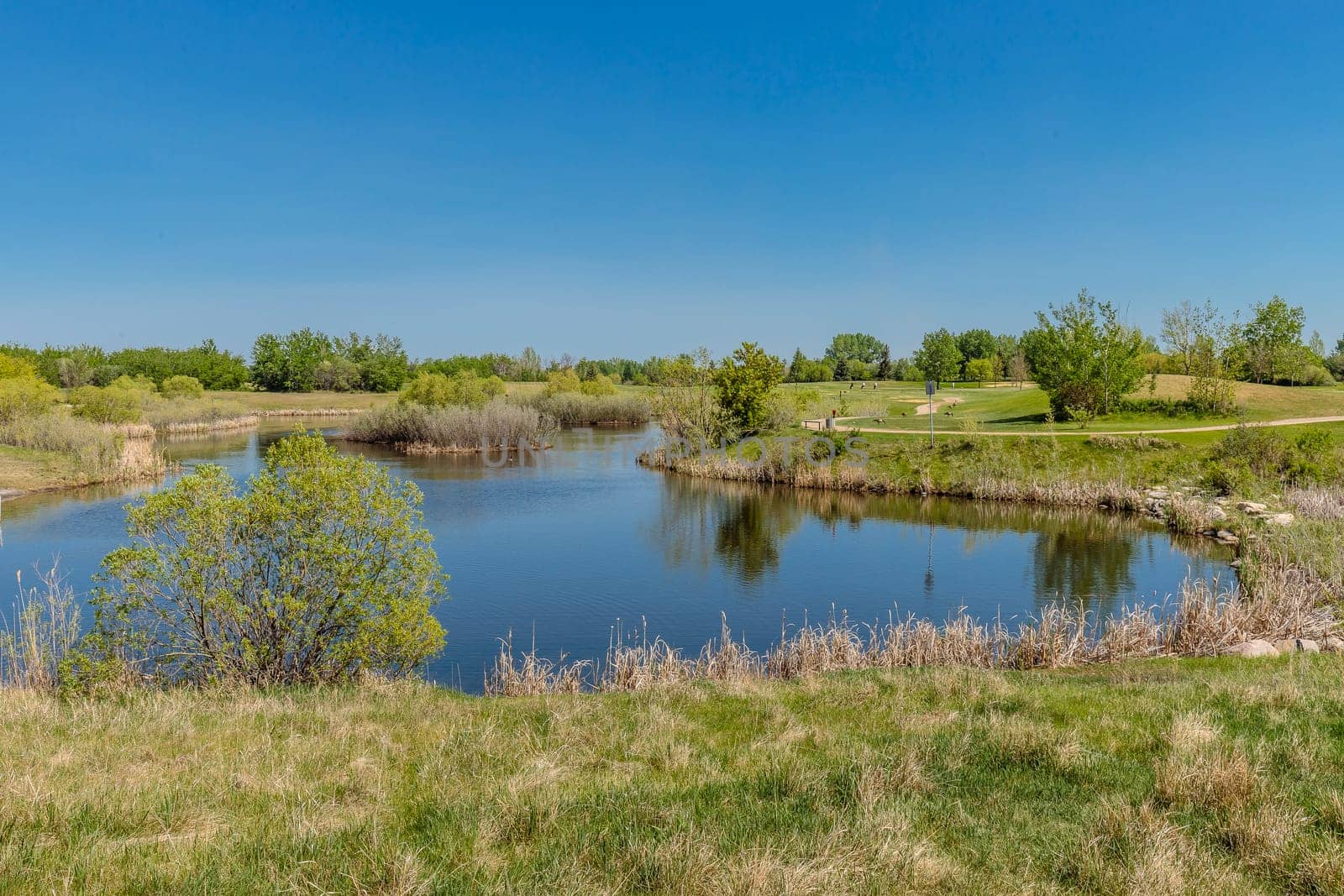 Lakewood Park is located in the Wildwood neighborhood of Saskatoon.