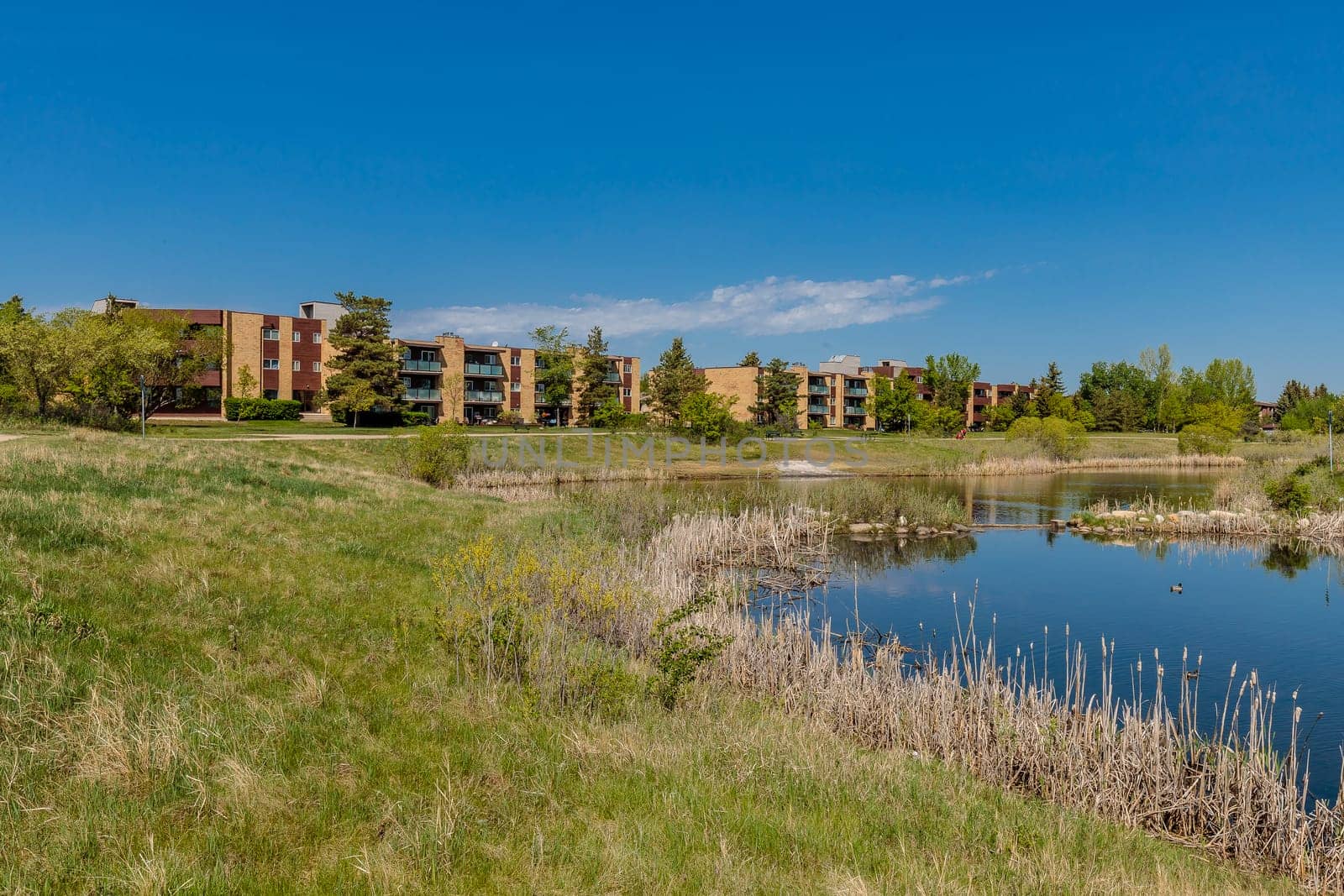 Lakewood Park is located in the Wildwood neighborhood of Saskatoon.