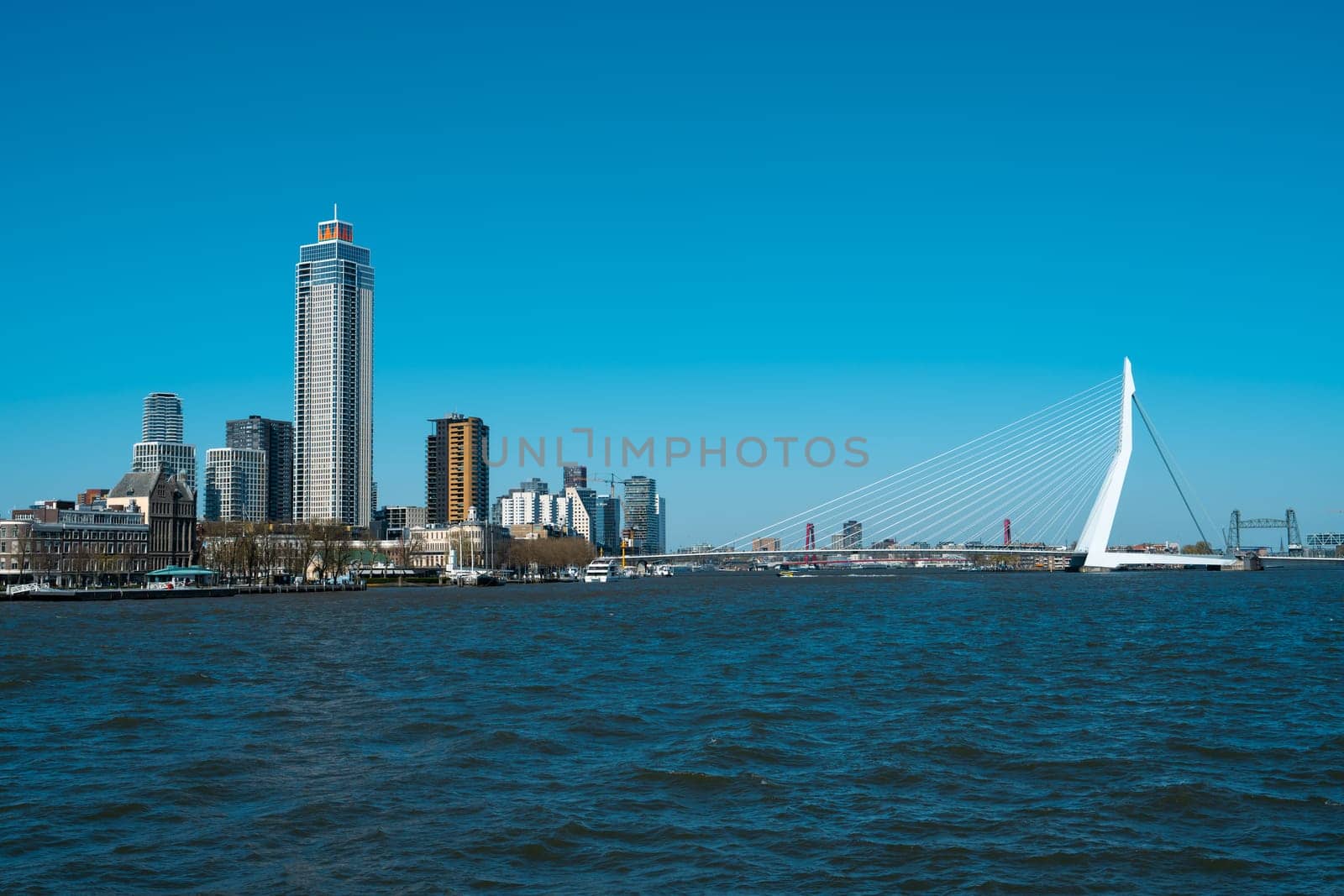 A breathtaking view of the iconic Erasmus Bridge and modern business center skyline in Rotterdam, captured from the water on a sunlit day, showcasing the architectural elegance of the city.