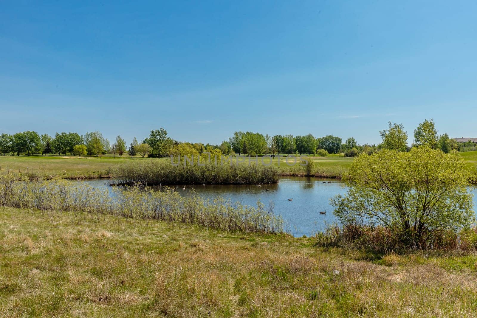 Lakewood Park is located in the Wildwood neighborhood of Saskatoon.