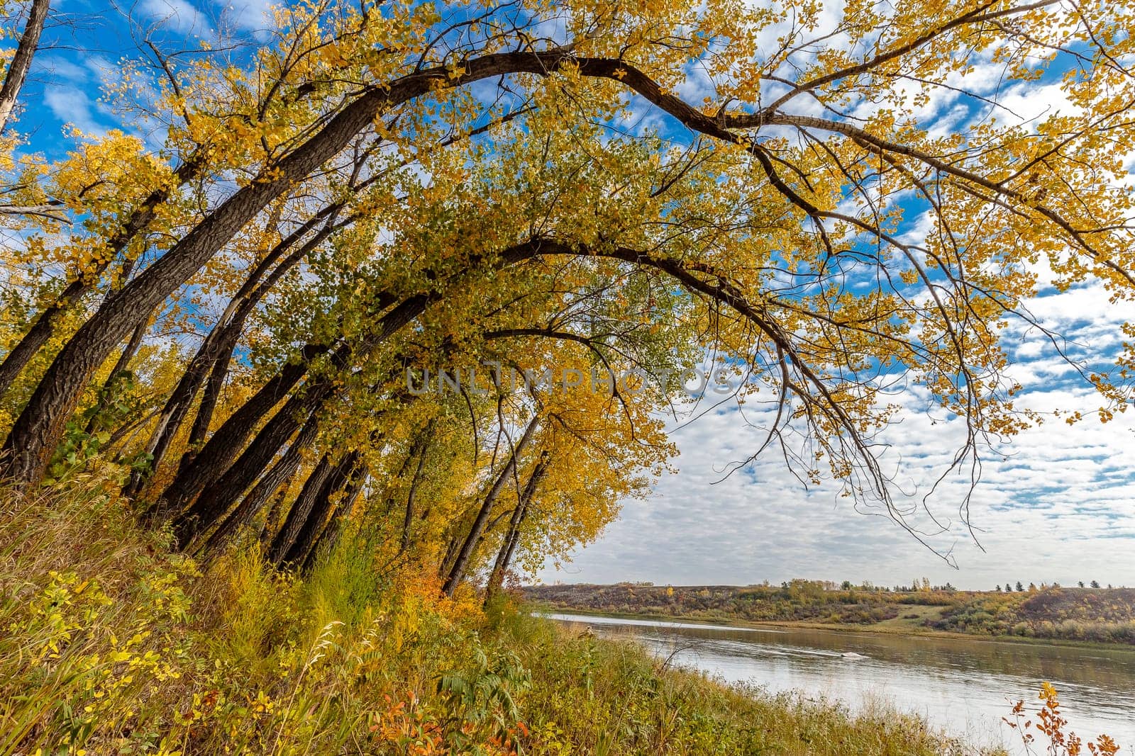 Meewasin Park is located in the Lawson Heights neighborhood of Saskatoon.