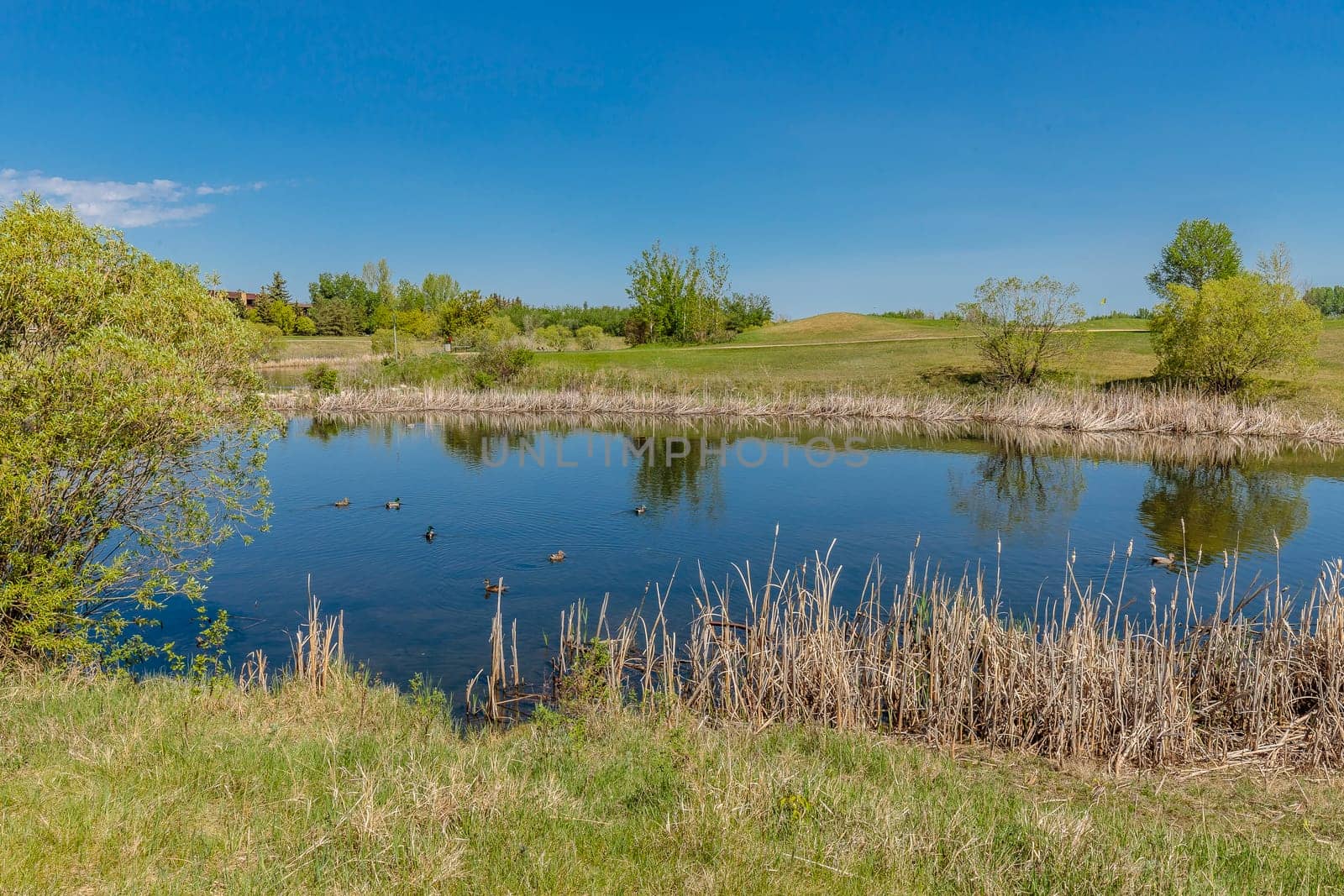 Lakewood Park is located in the Wildwood neighborhood of Saskatoon.