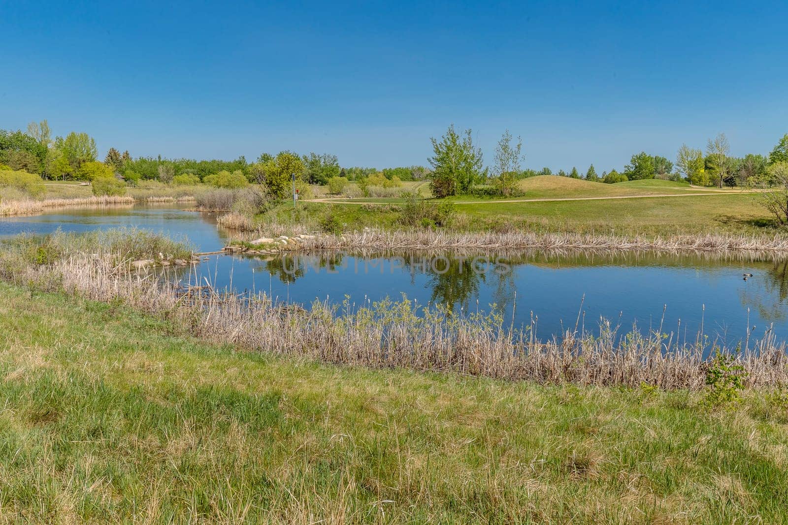 Lakewood Park is located in the Wildwood neighborhood of Saskatoon.