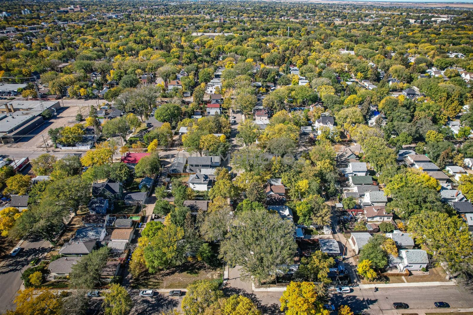 Caswell Hill is a district in the city of Saskatoon, Saskatchewan, Canada. It derives its name from an early homesteader Robert Caswell one of the Temperance Colonists of 1883. It is an area of beautiful character homes first built ca. 1905, tiny war-time houses, and newer houses.