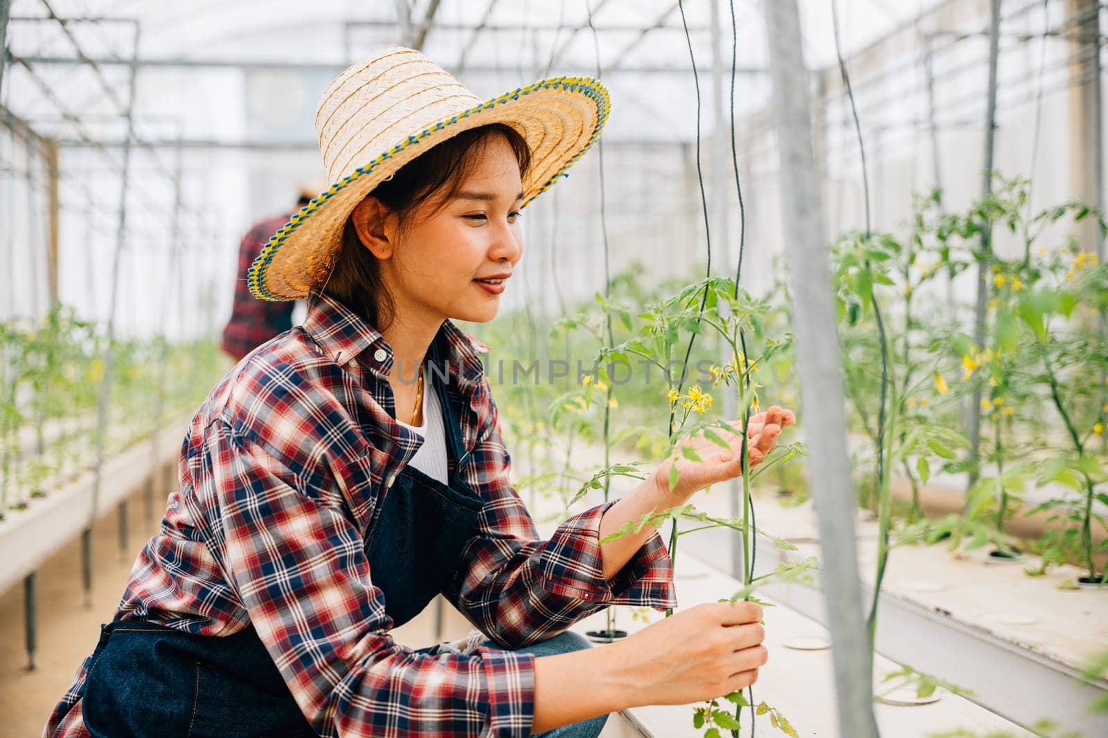 Woman in the greenhouse an entrepreneur and owner checks tomato plants for quality. Using modern technology she ensures optimal growth and care showcasing happiness in her vegetable farm environment.