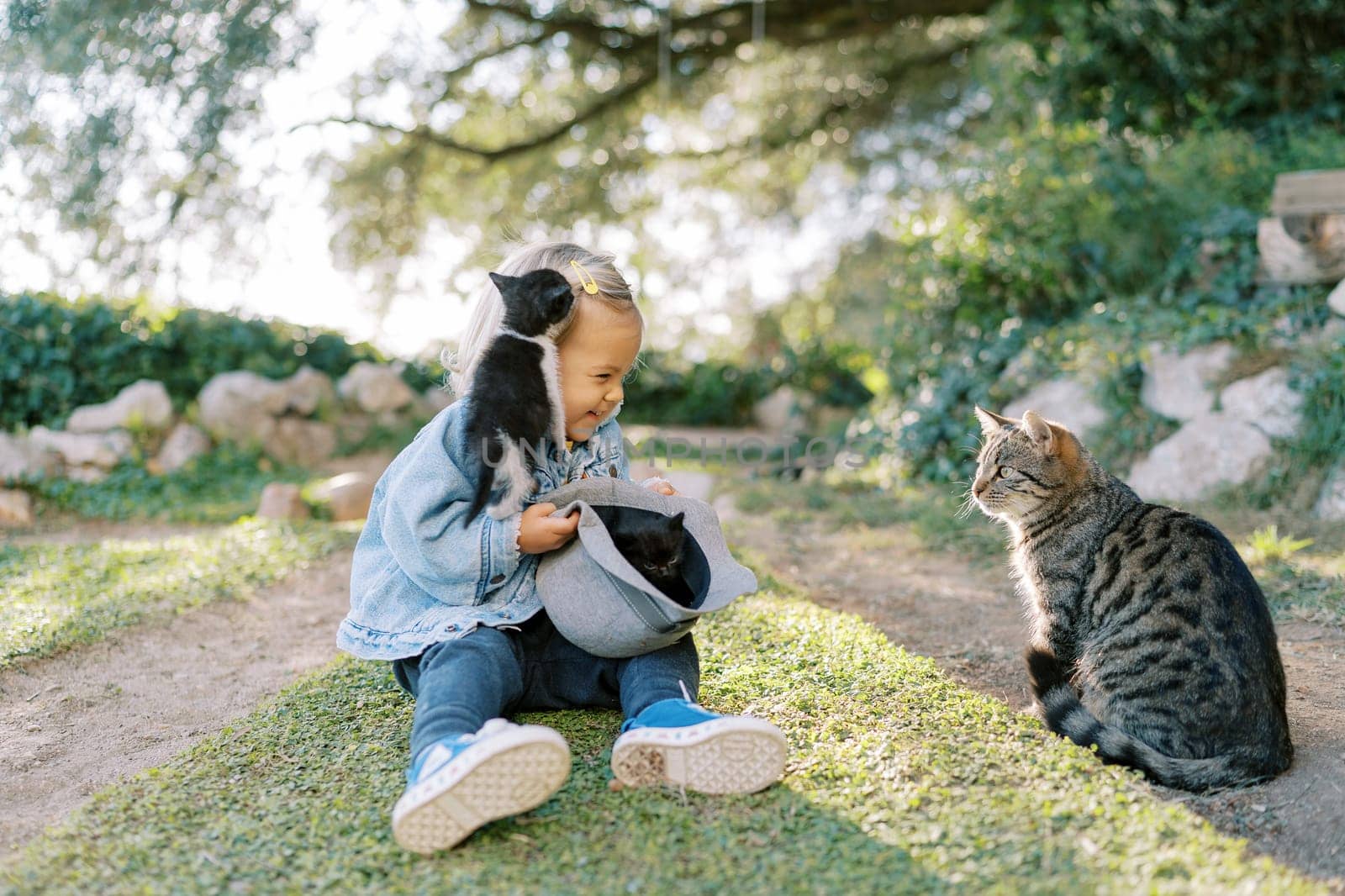 Little smiling girl sits with a hat with kittens on the green grass near the cat by Nadtochiy