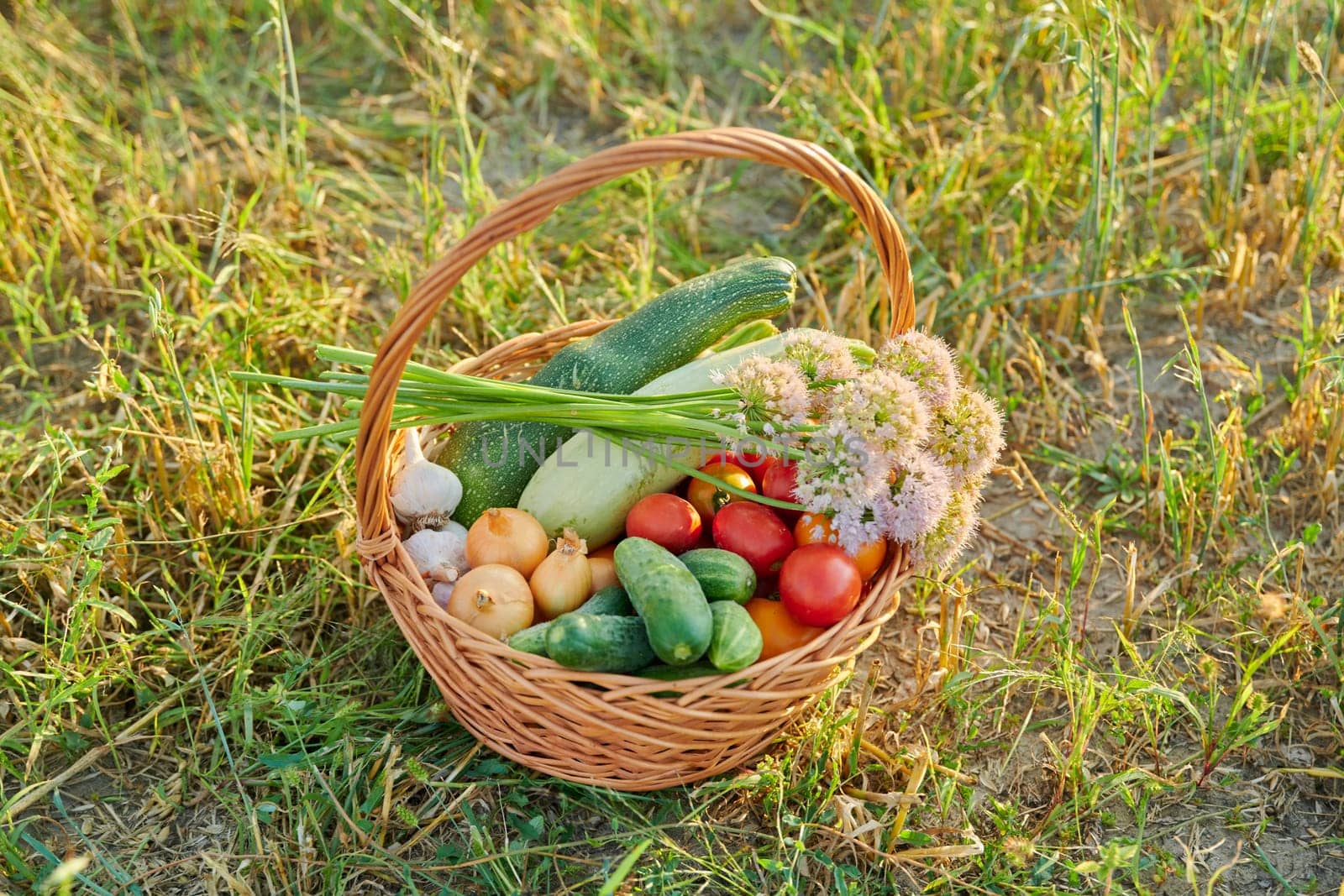 Basket with ripe natural vegetables on grass outdoor, nobody by VH-studio