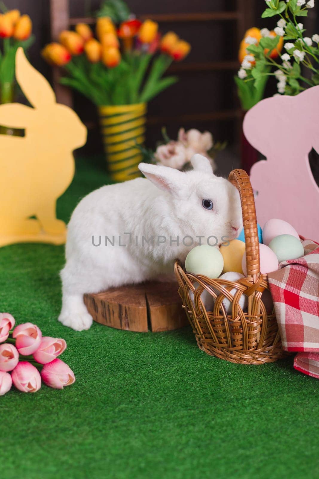 A white rabbit studies a basket of colored eggs, an Easter motif with selective focus