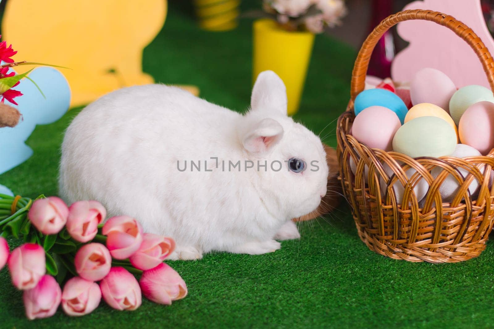 White rabbit in Easter scenery close-up with selective focus