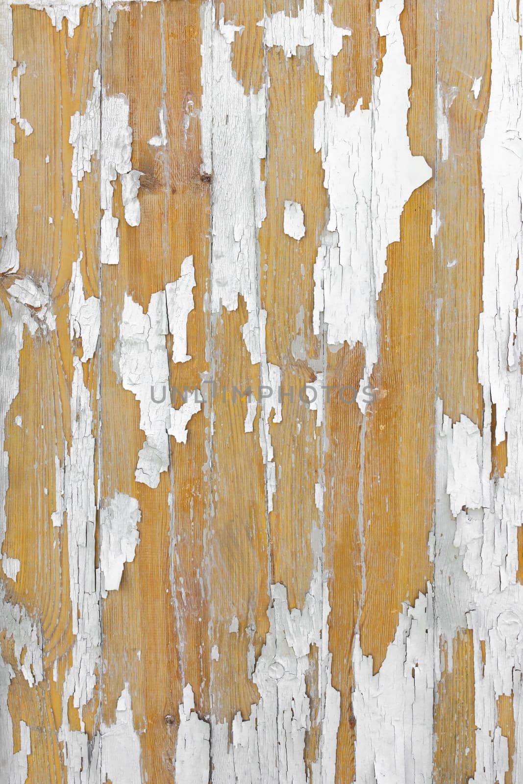 Texture of wood panels with old paint peeling off