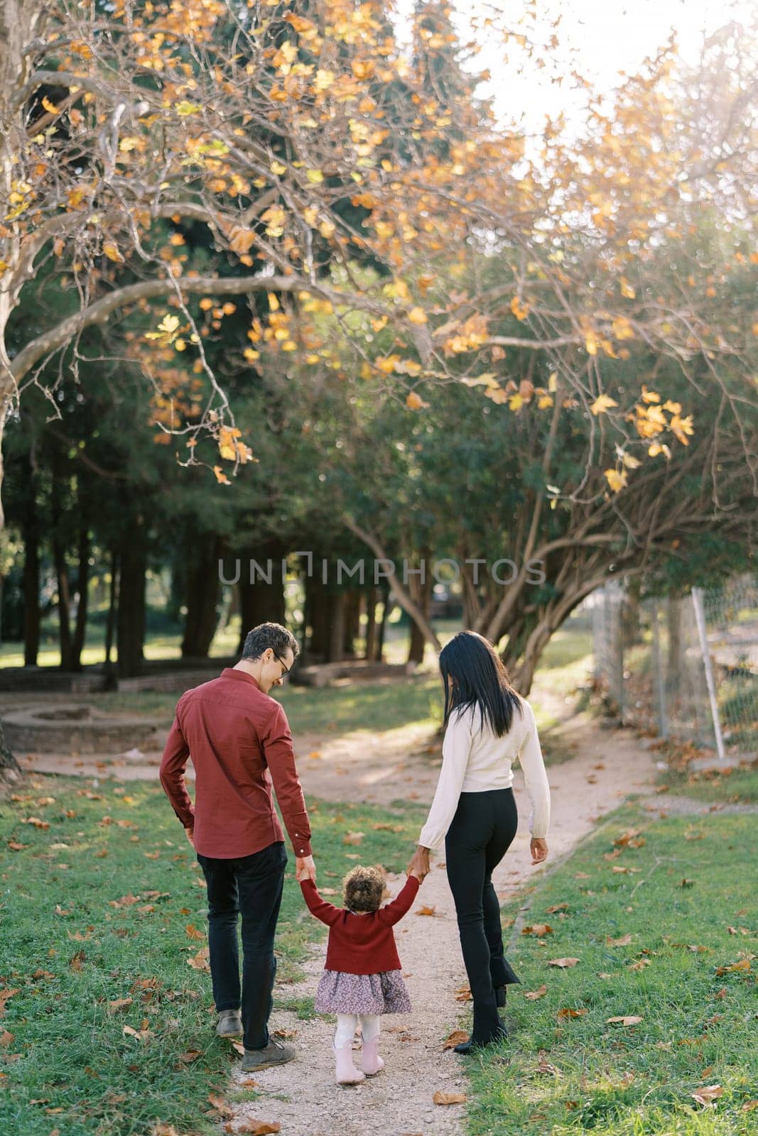 Mom and dad with a little girl walk along the path in the park, holding hands. Back view. High quality photo