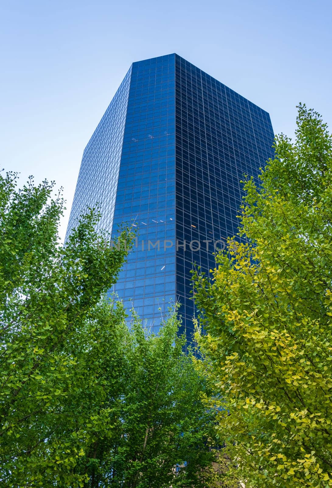 Complex mirrored surface of a modern skyscraper in St Louis by steheap