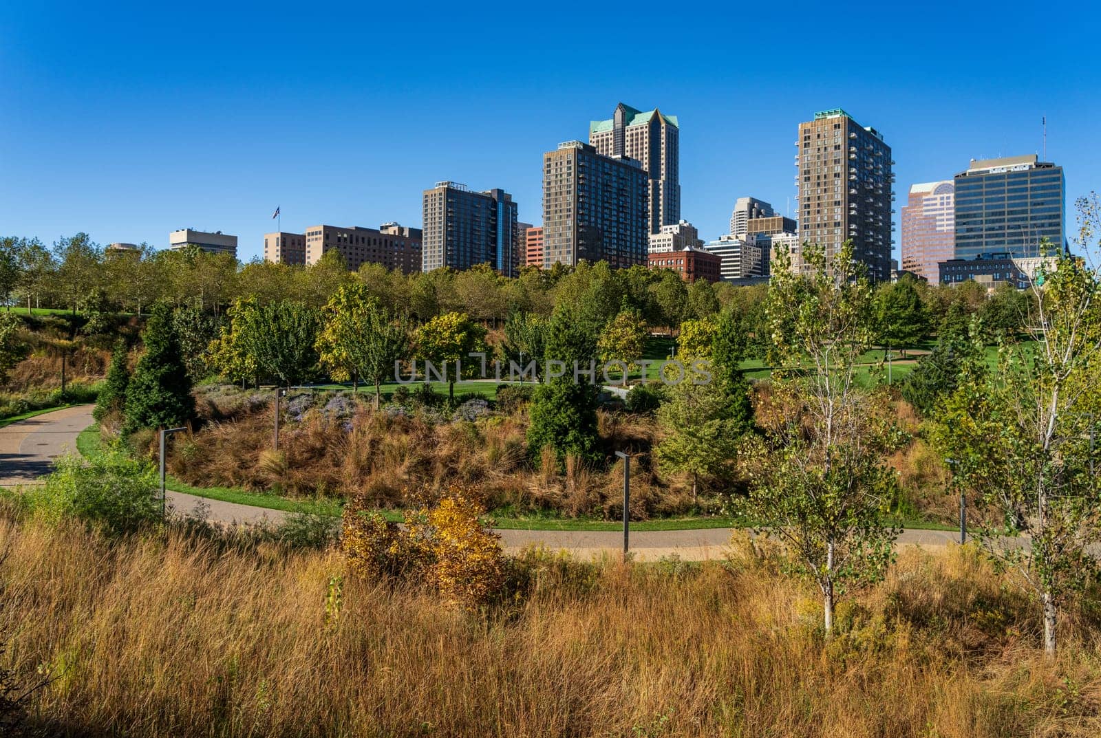 Offices and cityscape of St Louis Missouri seen from Explorers Park by steheap