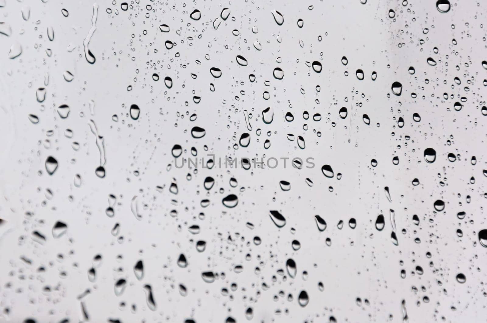 Rain drops on the glass, background.there is a place for an inscription High quality photo