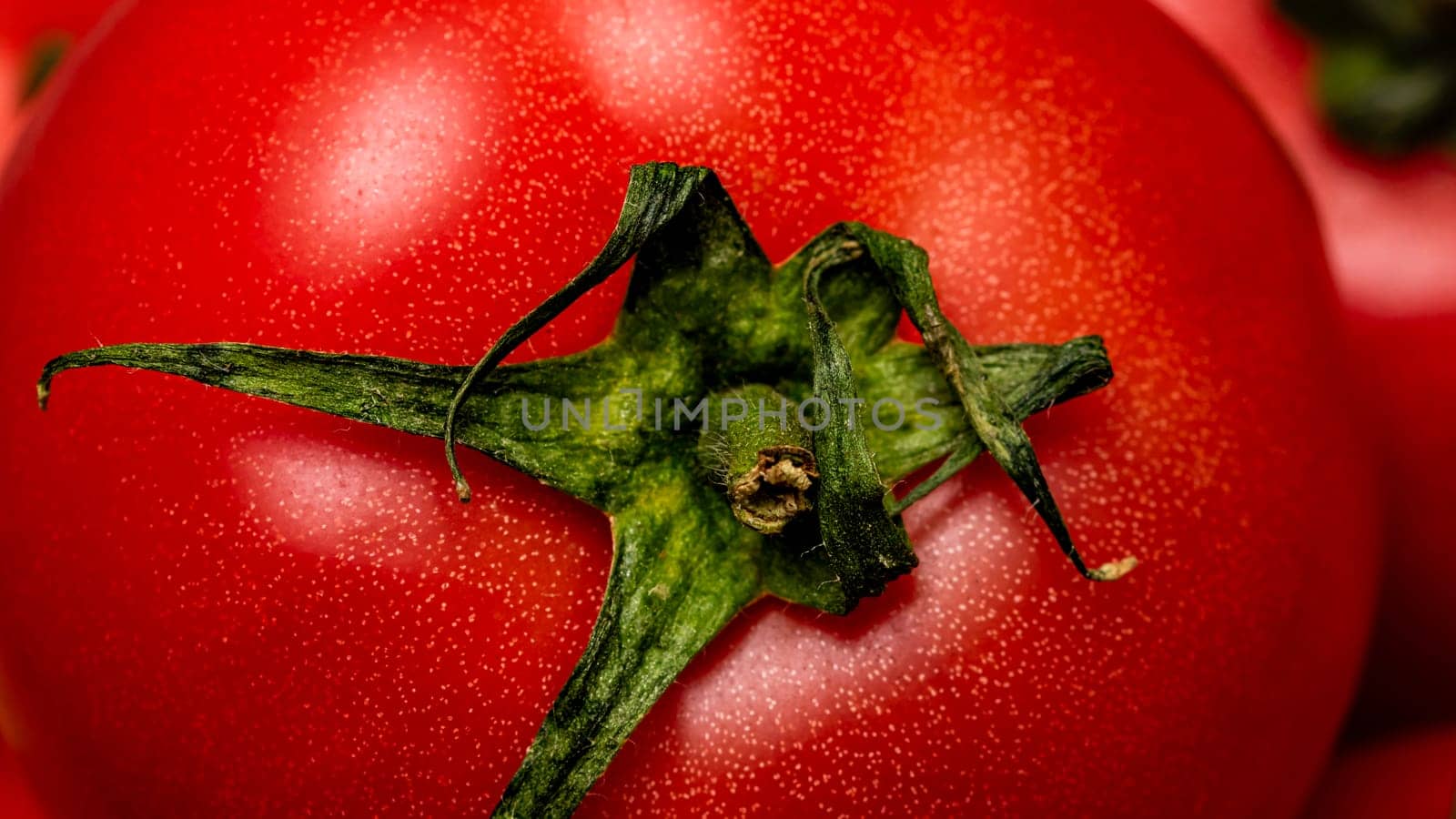 Close up of ripe red tomato, tomatoes background.