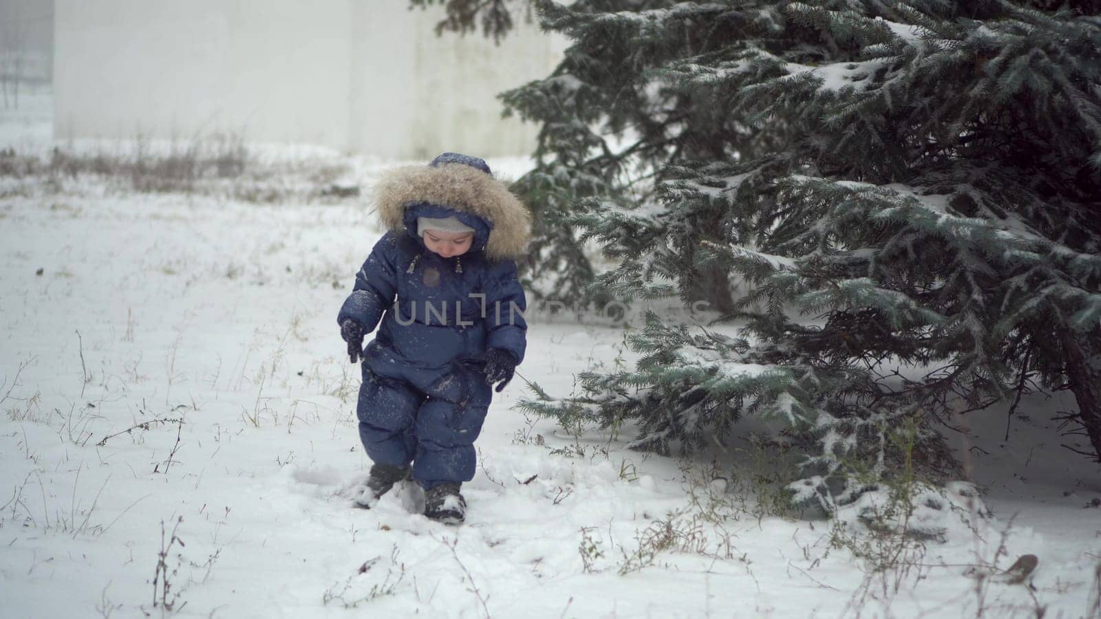 A small child stands near the fir trees in the snow. A boy in a down overalls plays in the snow in the park. 4k