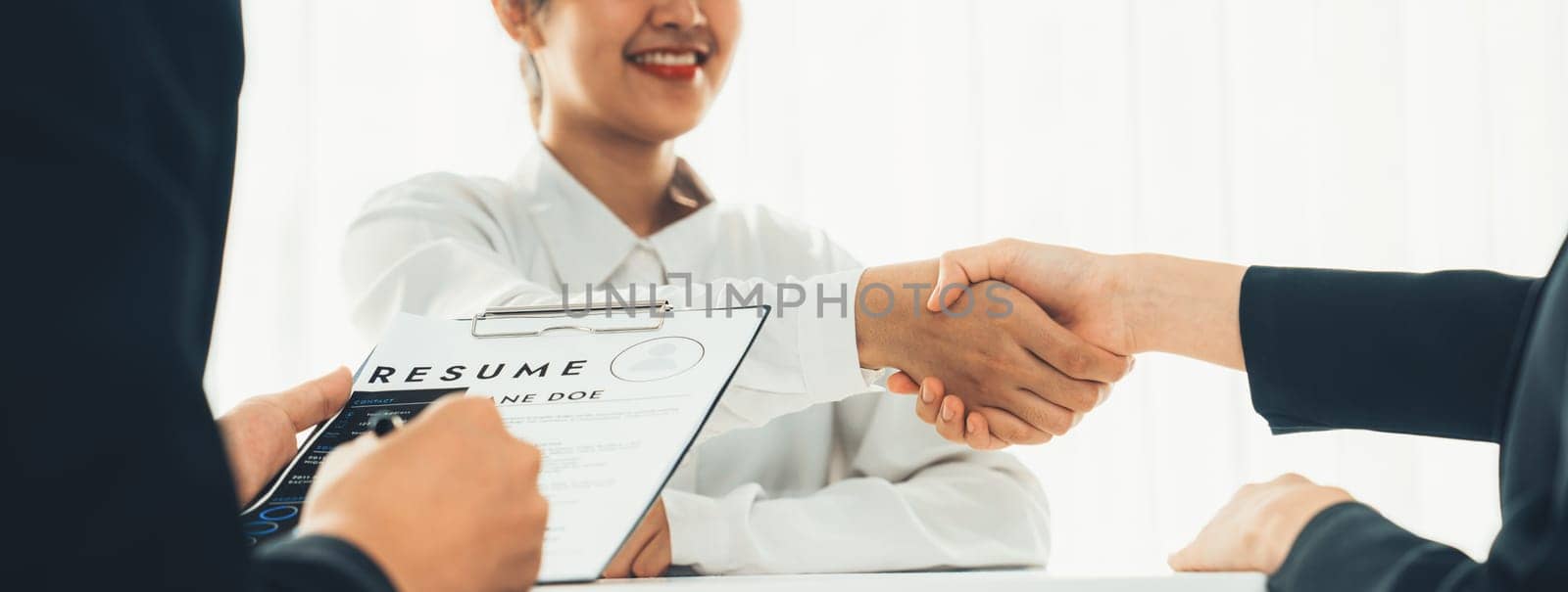 Corporate recruiter interview shake hand and hire job candidate. Shrewd by biancoblue