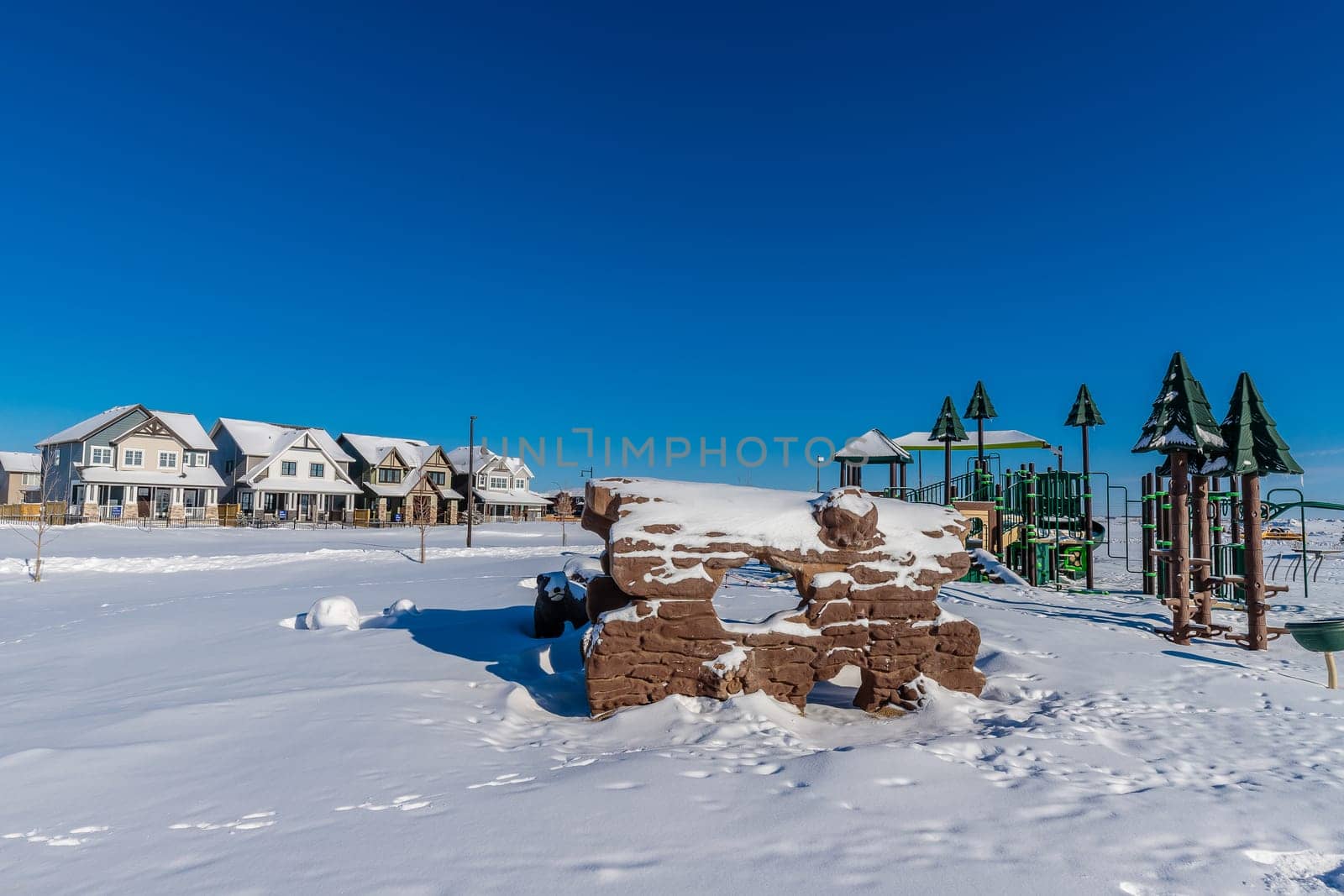 Experience the winter magic of Bear Paw Park in Saskatoon. This image captures the park's snowy landscape, frost-covered trees, and the serene beauty of a winter's day in the city.