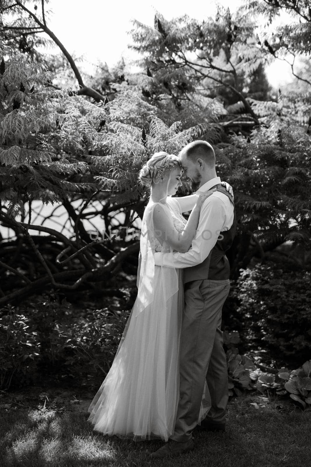 wedding walk of the bride and groom in a coniferous in elven accessories by Andreua