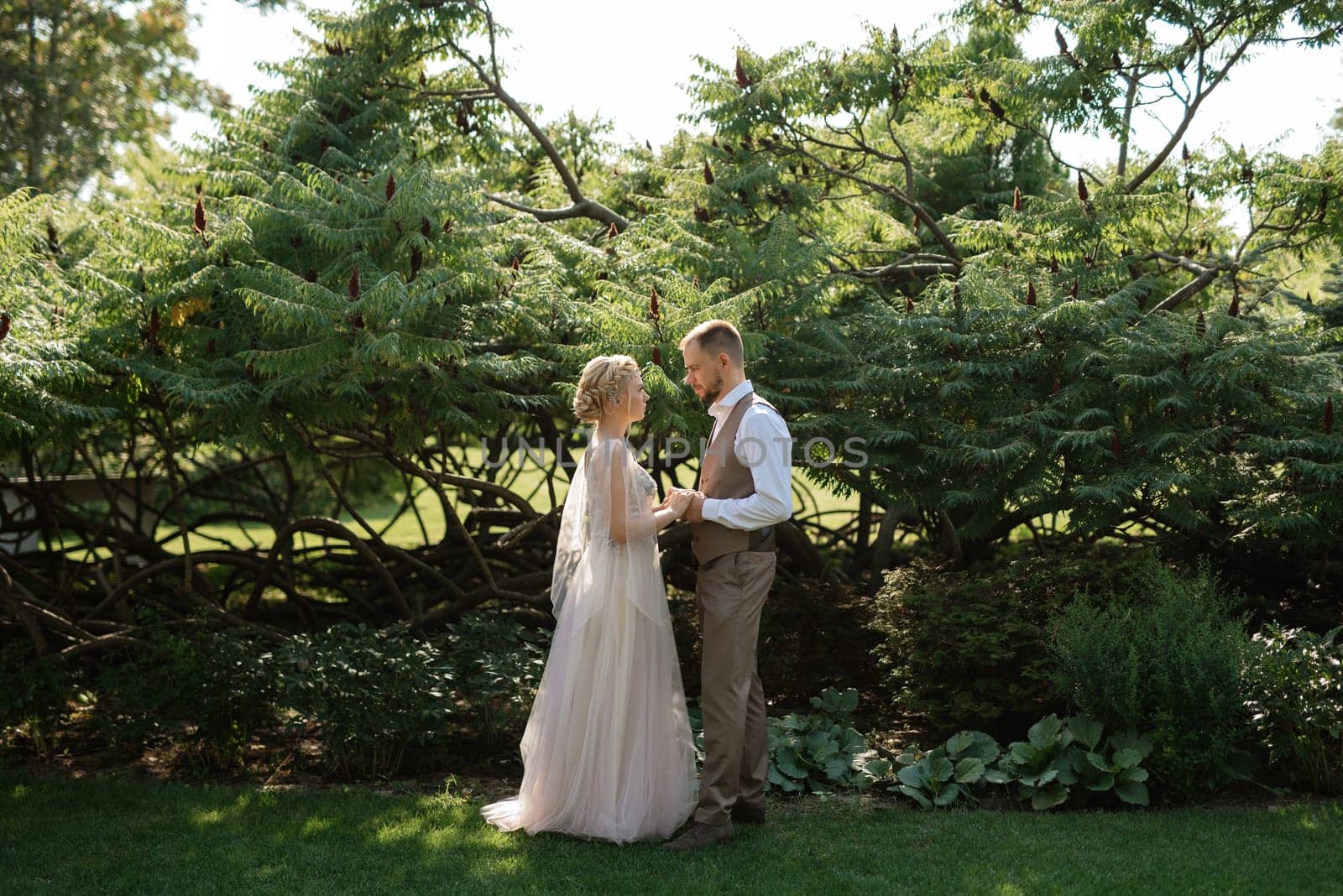 wedding walk of the bride and groom in a coniferous park in summer in elven accessories