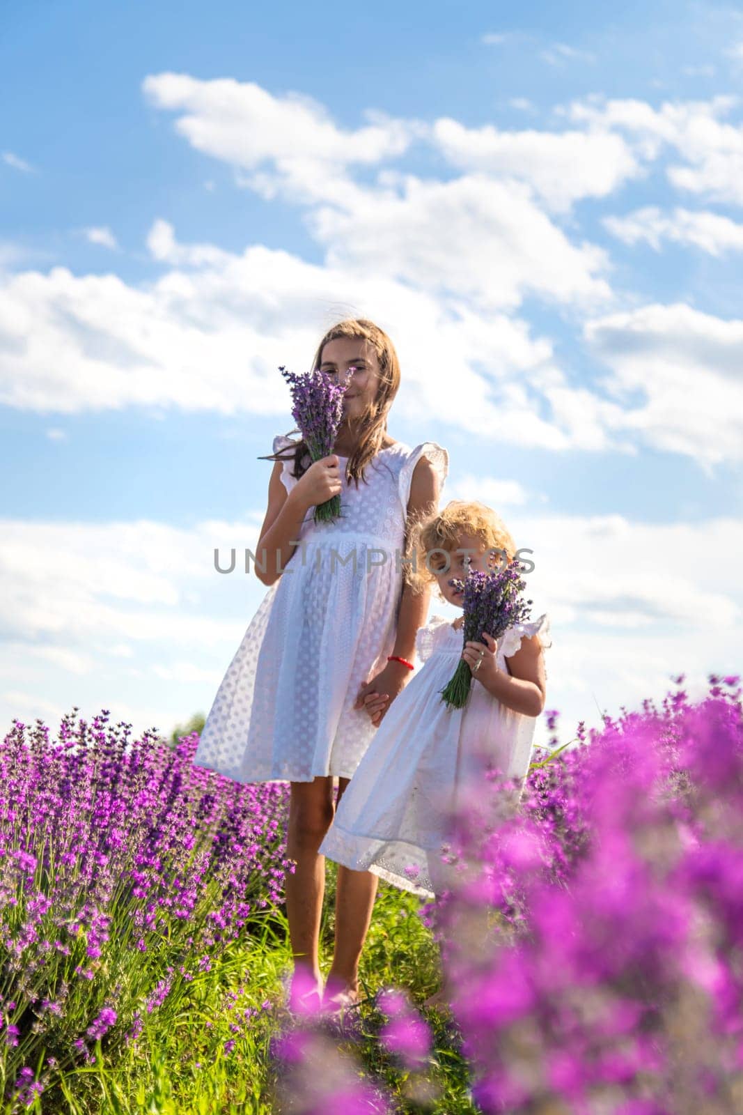Children in a lavender field. Selective focus. by yanadjana