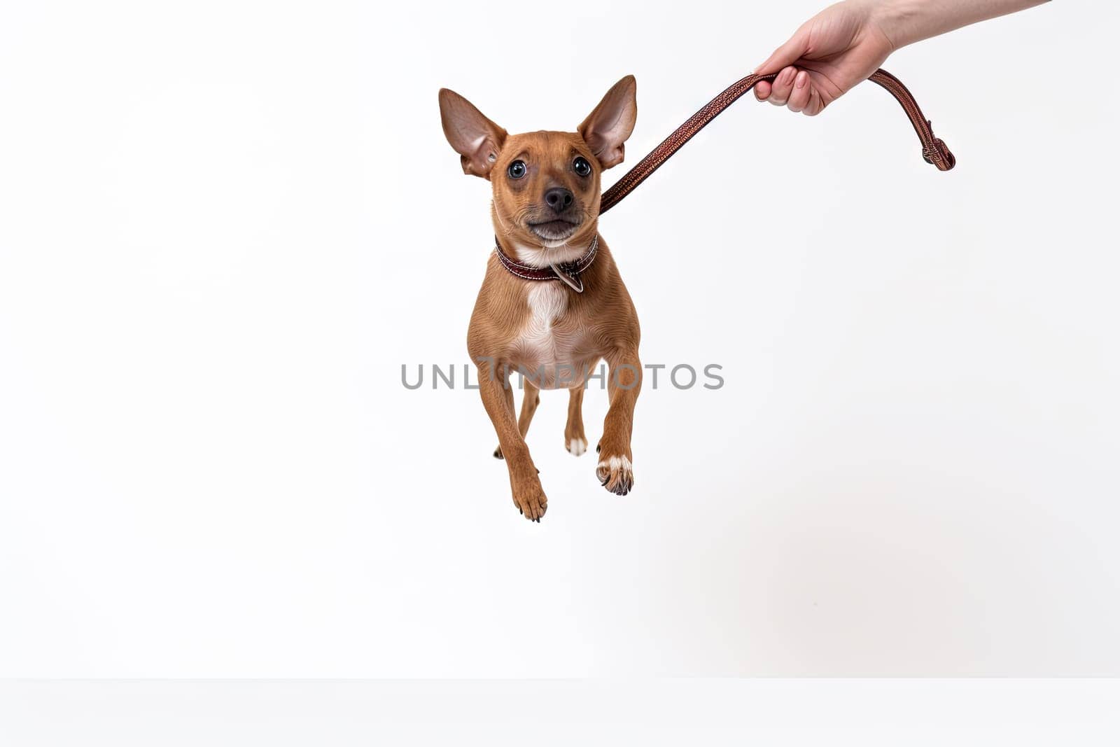 A small brown dog jumping up into the air created with generative AI technology by golibtolibov
