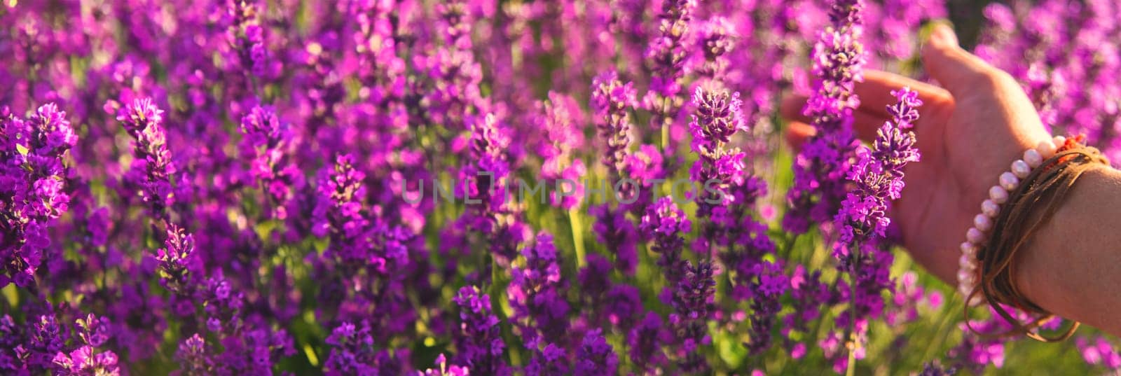 Woman in a lavender field. Selective focus. by yanadjana