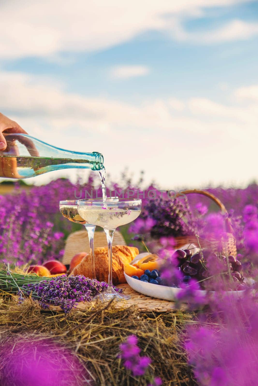 A woman drinks wine in a lavender field. Selective focus. Nature.
