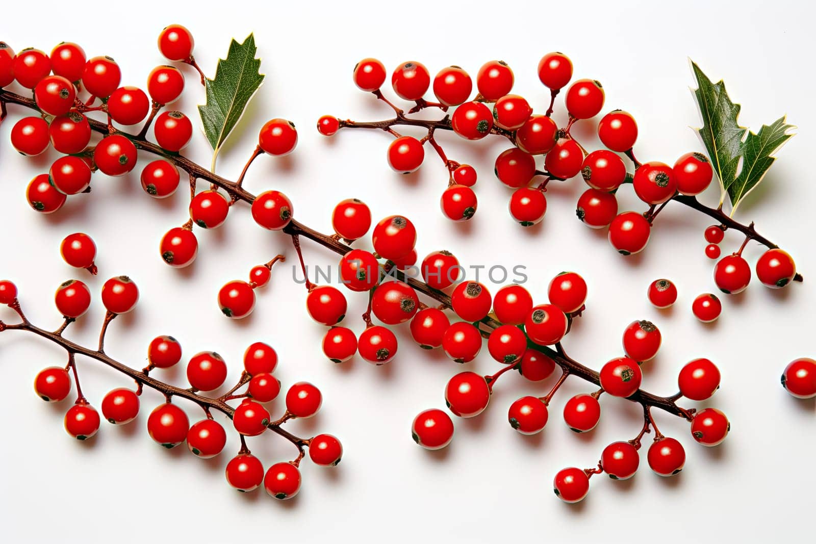 A Vibrant Autumn Branch with Beautiful Red Berries and Colorful Leaves