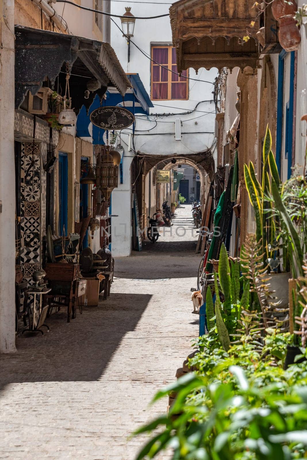 Idyllic alley in the medina of Essaouira, Morocco