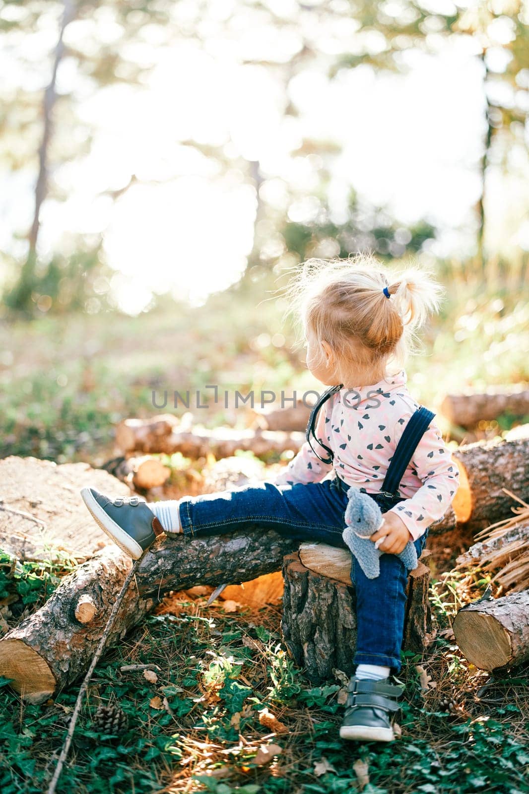Little girl sits with a toy in her hands on a log in the forest and looks away by Nadtochiy