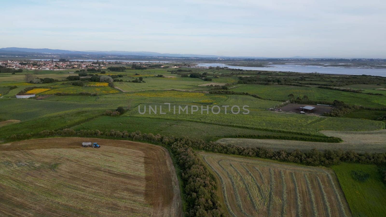 Aerial view of the cultivated fields of the estuary in Murtosa, Aveiro - Portugal.