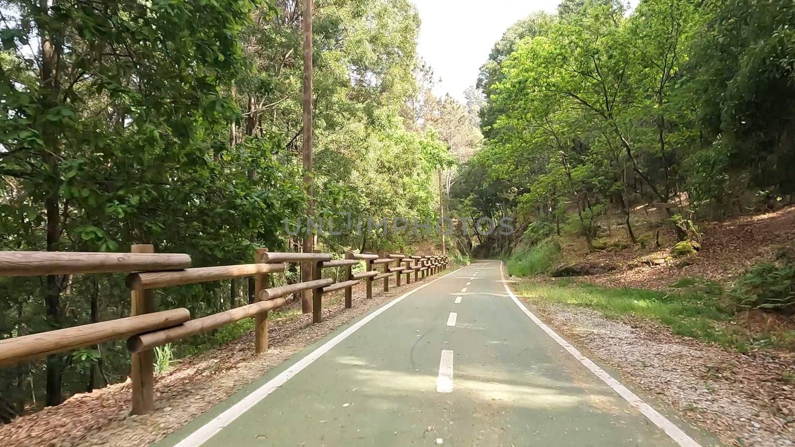 Point of view shot of riding a bicycle in Vouzela, Portugal. Features a wide view of the bike track and the natural scenery.