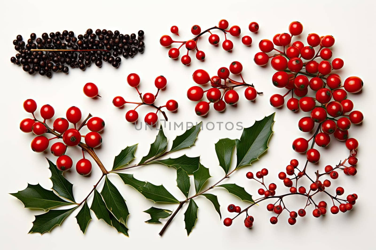 A group of berries and leaves on a white surface by golibtolibov