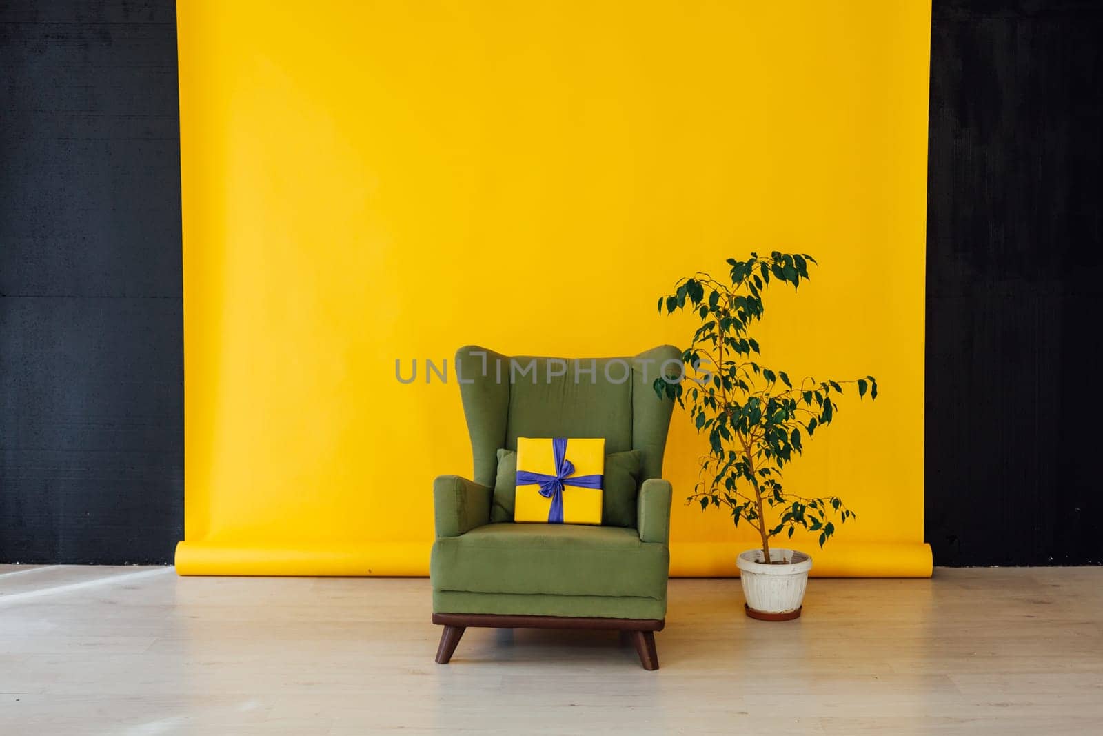 chair and green home plant in the interior of the room with a yellow background