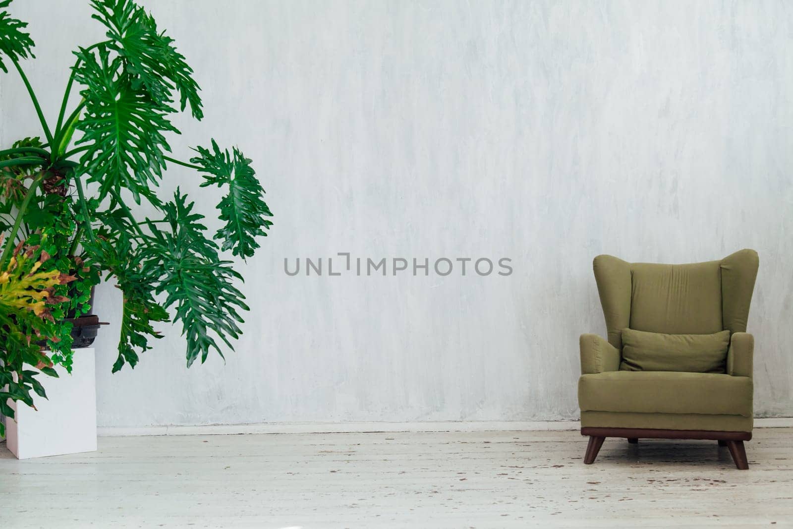green chair with home plants in the interior of the room by Simakov